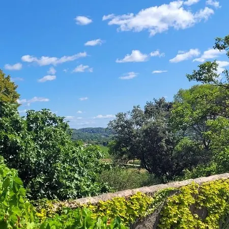 Le Domaine Du Soulier Tilleul