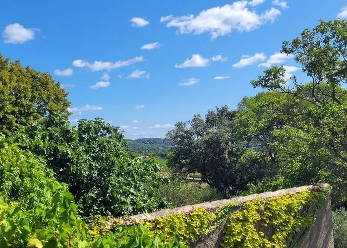 Le Domaine Du Soulier Tilleul